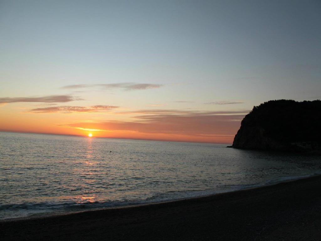 伽里家公寓 * Petrovac